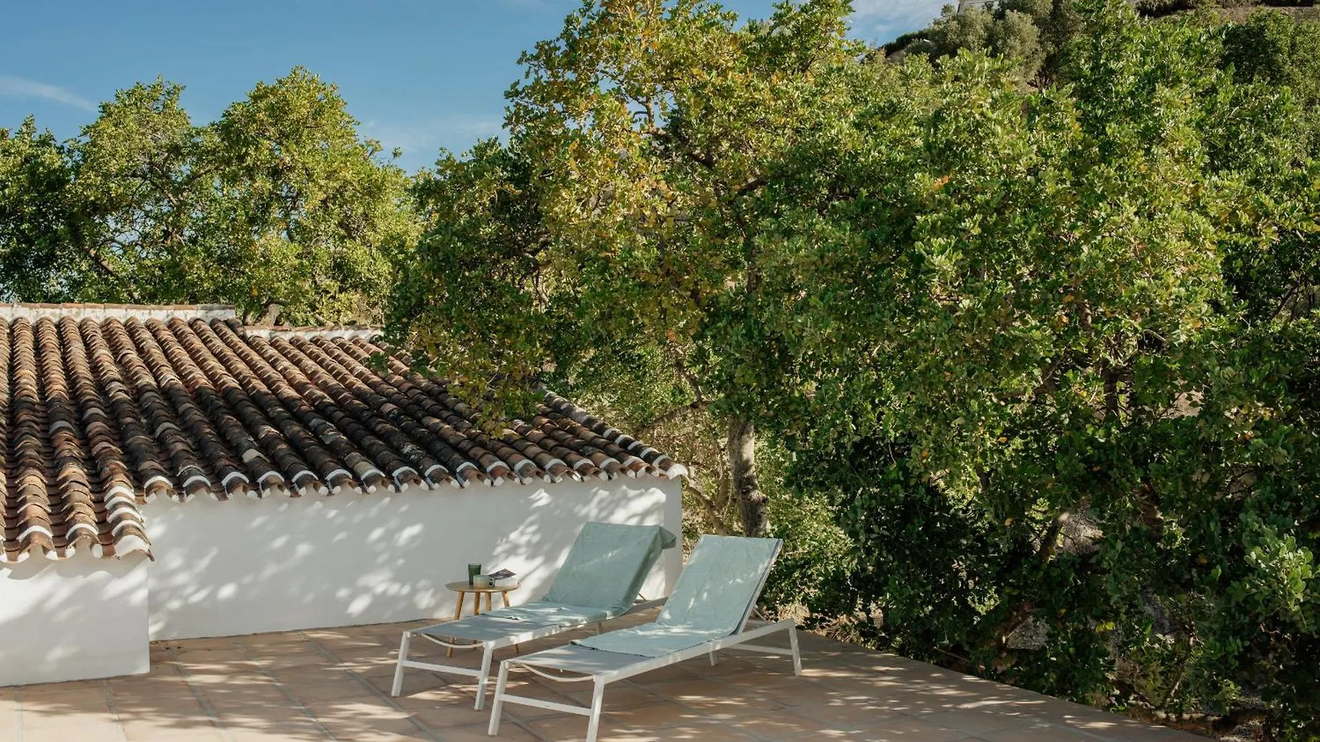 Villa Casa Olivia Canillas de Aceituno Casa vacanze